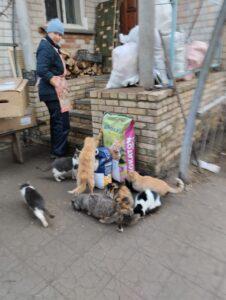 Ukrainas on palju lemmikloomi, kelle peremehed on kas põgenenud või surma saanud.