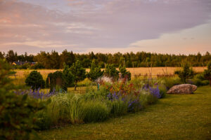 Krista Keltaneni foto